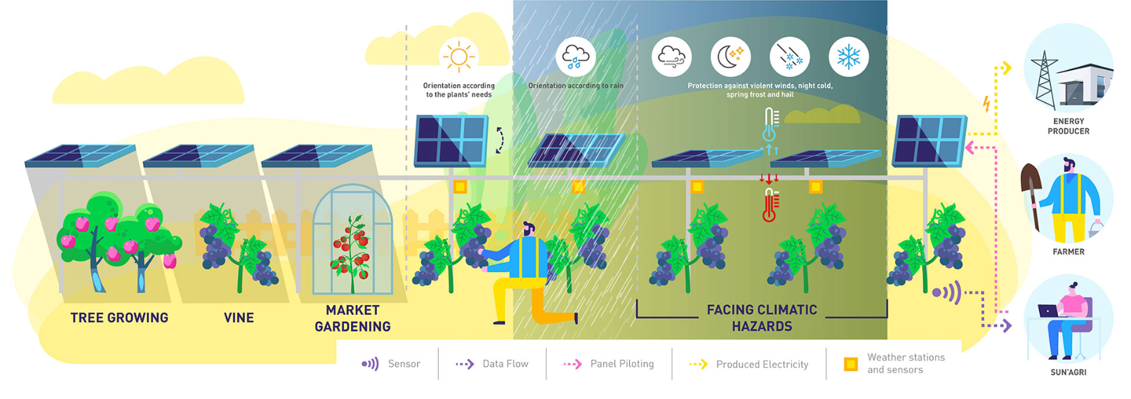 Francja wykorzystuje panele fotowoltaiczne w uprawie winorośli, sadownictwie i ogrodnictwie